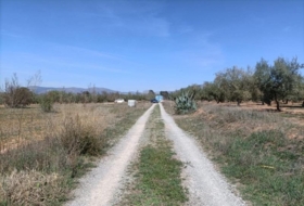 Foto 17