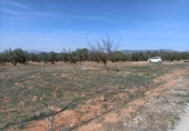 Xalet independent amb terreny en venda a la España, Albolote, ref.: TR299026 foto