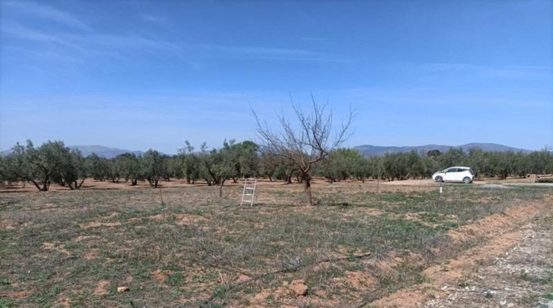 Granada - Альболоте - 4357m2