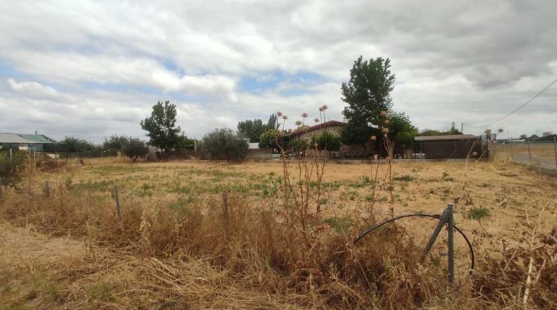 Valladolid - Carpio - 1625m2