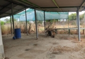Casa amb terreny en venda a la España, El Carpio, ref.: TR300294 foto
