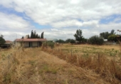 Casa amb terreny en venda a la España, El Carpio, ref.: TR300294 foto