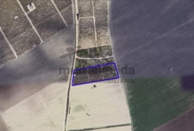 Sanlúcar de Barrameda 7119&nbsp;m² 