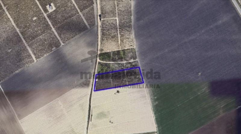 Кадис - Sanlúcar de Barrameda - 7119m2