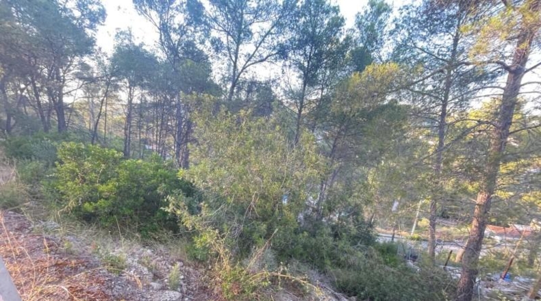 Barcelona - Оливелья - 500m2