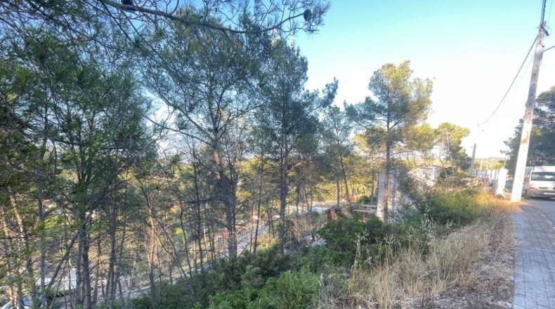 Barcelona - Оливелья - 500m2