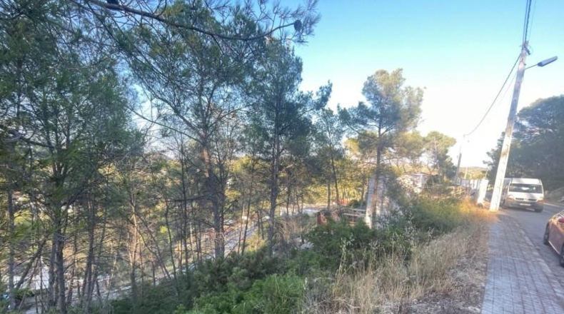 Barcelona - Оливелья - 500m2