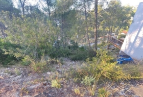 Foto 7