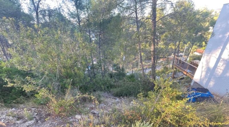 Barcelona - Оливелья - 500m2