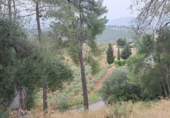 Sòl urbà en venda a la España, Castellví de Rosanes, ref.: TR330192 foto