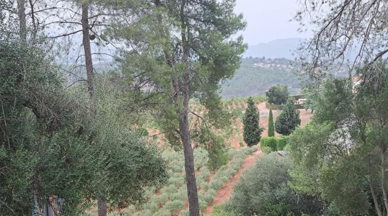 Barcelona - Castellví de Rosanes - 881m2