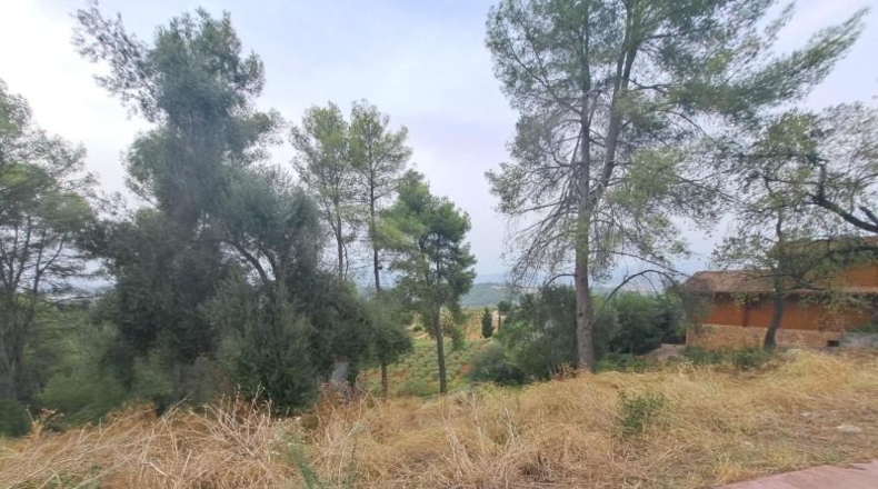 Barcelona - Castellví de Rosanes - 881m2