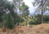 Sòl urbà en venda a la España, Castellví de Rosanes, ref.: TR330192 foto