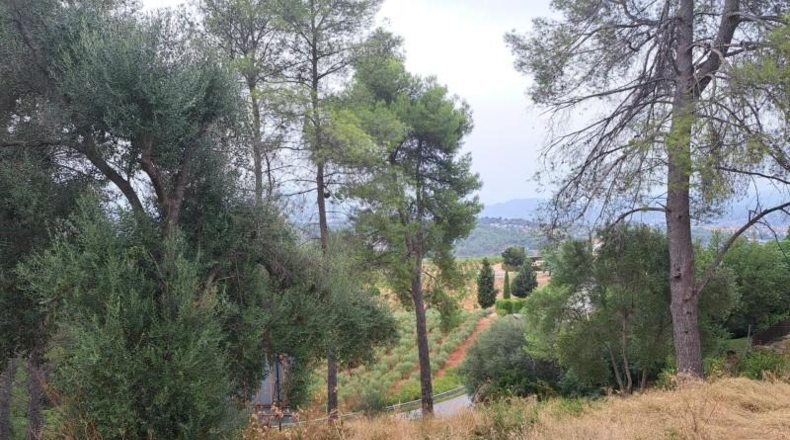 Barcelona - Castellví de Rosanes - 881m2