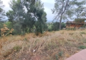 Sòl urbà en venda a la España, Castellví de Rosanes, ref.: TR330192 foto