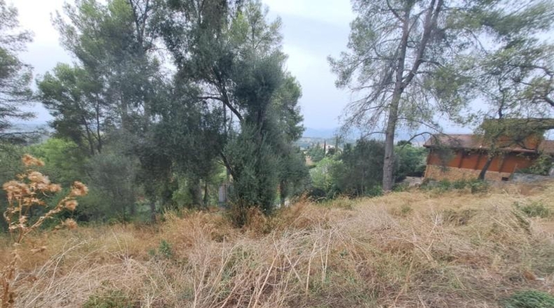 Barcelona - Castellví de Rosanes - 881m2
