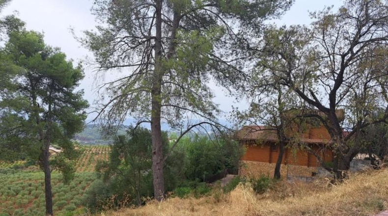 Barcelona - Castellví de Rosanes - 881m2
