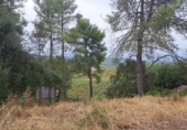Sòl urbà en venda a la España, Castellví de Rosanes, ref.: TR330192 foto