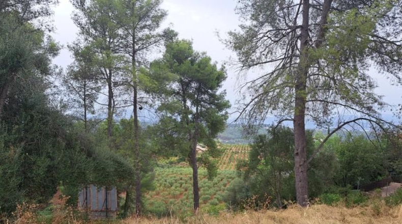 Barcelona - Castellví de Rosanes - 881m2