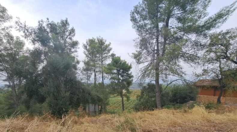 Barcelona - Castellví de Rosanes - 881m2