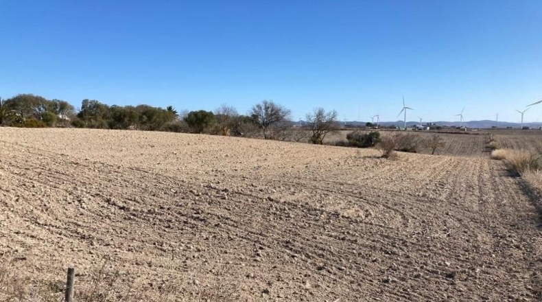 Cádiz - Chiclana de la Frontera - 9000m2