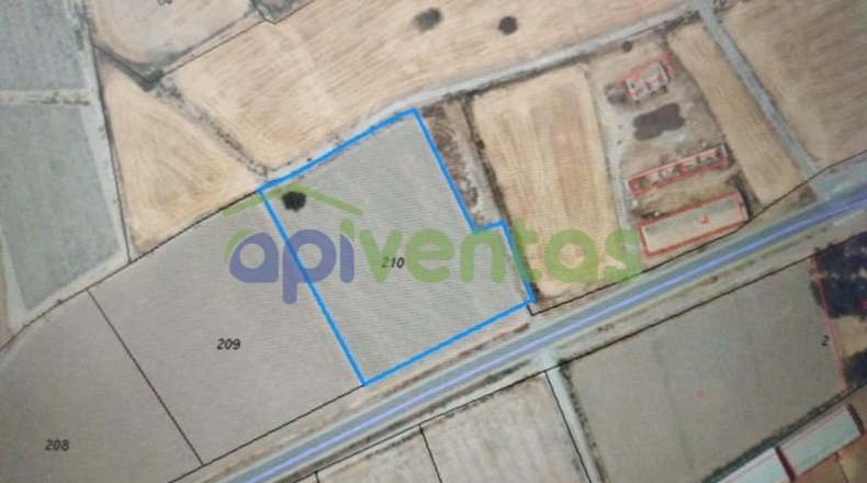 Murcia - Murcia - 5502m2