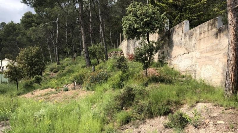 Barcelona - Castellnou de Bages - 665m2