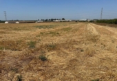 Terreny no urbanitzable en venda a la España, Utrera, ref.: TR310813 foto