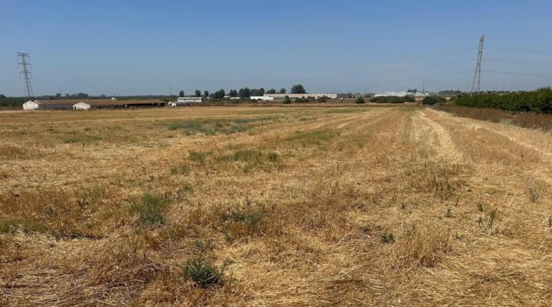 Севилья - Utrera - 18000m2
