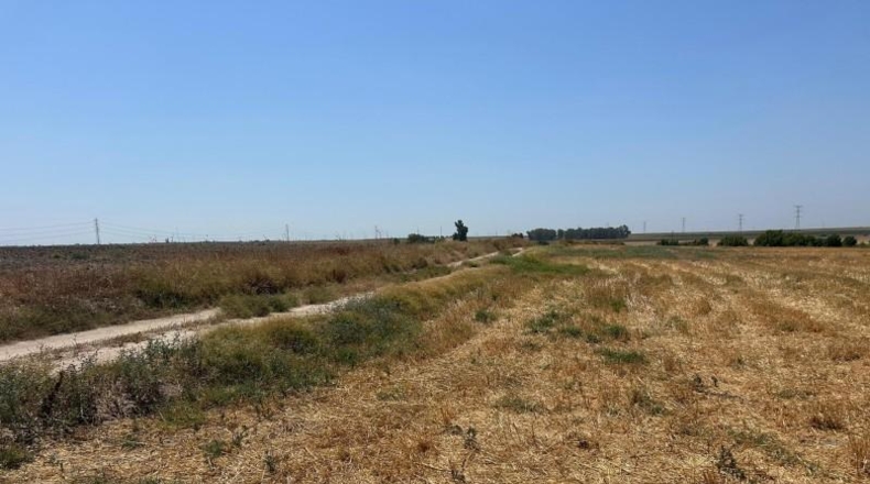 Севилья - Utrera - 18000m2