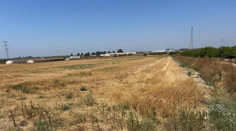 Севилья - Utrera - 18000m2