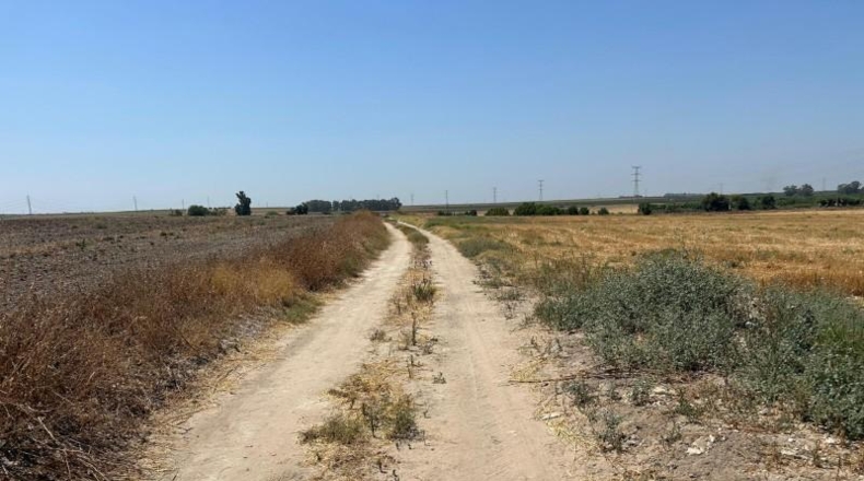 Севилья - Utrera - 18000m2