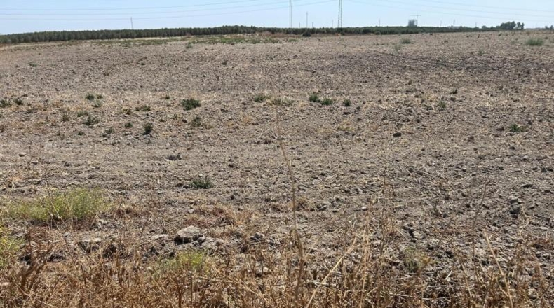 Севилья - Utrera - 18000m2