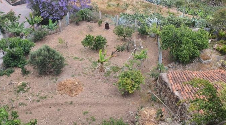 Las Palmas - Las Palmas de Gran Canaria - 135m2