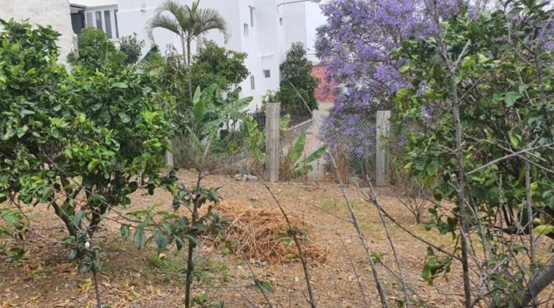 Las Palmas - Las Palmas de Gran Canaria - 135m2