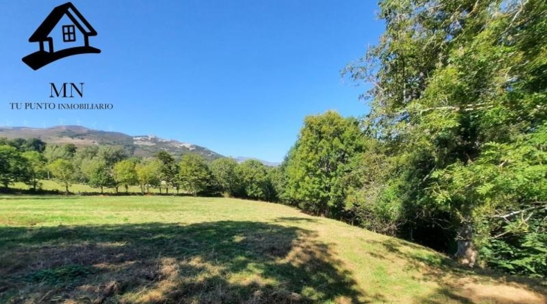 Burgos - Espinosa de los Monteros - 7964m2