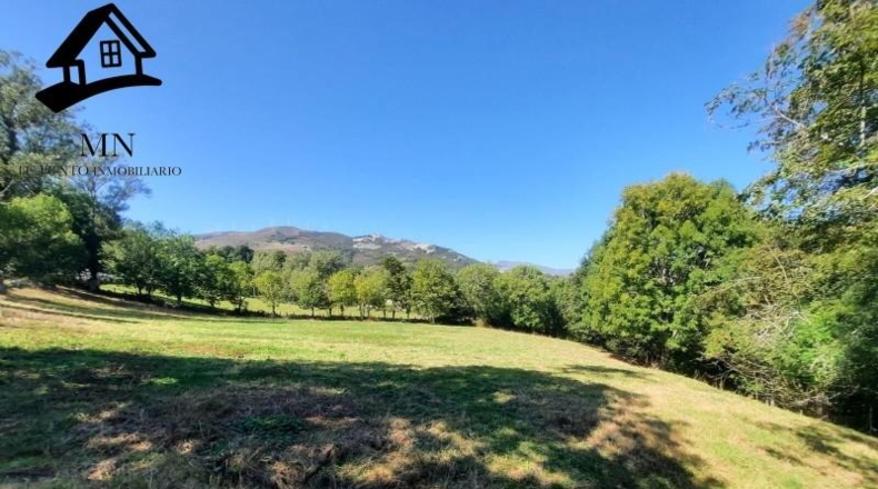 Burgos - Espinosa de los Monteros - 7964m2