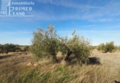 Terreno no urbanizable en venta en la España, Tomelloso, ref: TR119873 foto