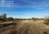 Terreno no urbanizable en venta en la España, Tomelloso, ref: TR119873 foto