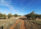 Terreno no urbanizable en venta en la España, Tomelloso, ref: TR119873 foto