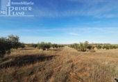 Terreno no urbanizable en venta en la España, Tomelloso, ref: TR119873 foto