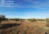 Terreno no urbanizable en venta en la España, Tomelloso, ref: TR119873 foto