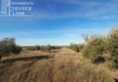 Terreno no urbanizable en venta en la España, Tomelloso, ref: TR119873 foto
