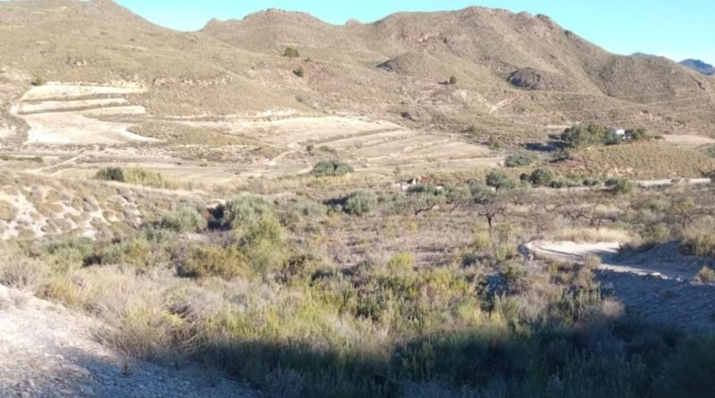 Múrcia - Lorca - 39300m2
