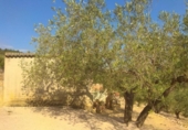 Terreno no urbanizable en venta en la España, el Perelló, ref: TR123611 foto