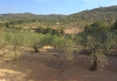 Terreno no urbanizable en venta en la España, el Perelló, ref: TR123611 foto