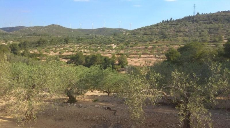Tarragona - el Perelló - 10578m2