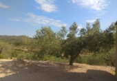 Terreno no urbanizable en venta en la España, el Perelló, ref: TR123611 foto