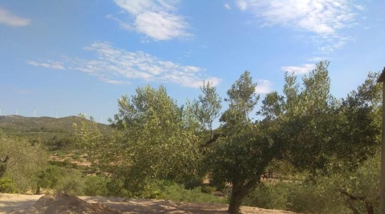 Tarragona - el Perelló - 10578m2