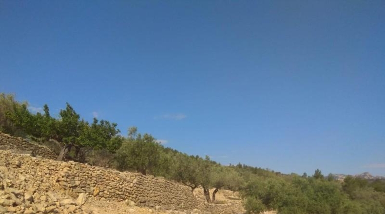 Tarragona - el Perelló - 10578m2